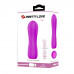 Beau Mini Vibrator