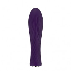 Nalone Ian Bullet Vibrator - Paars